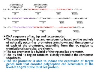 -35 CONSENSUS -10 CONSENSUS
5’-TTGACA-3’ 5’-TATAAT-3’
Lac : 5’-…TTTACAC…..TCCGGCTCGTATATTGTGT…………..CAGGAAACAGCT ATG…-3’
_______ ______ _____ ______
-35 -10 RBS Protein
Trp : 5’-…TTGACAATTAATCATCGAAC….TTAACTAG………….AAAGGGTAT…….ACA ATG…-3’
_______ _______ _____ ______
-35 -10 RBS Protein
Tac : 5’-…TTGACAATTAATCATCGGCTCGTATATTGTGT………AGGAAACAGCGG ATG…-3’
_______ ______ _____ ______
-35 -10 RBS Protein
DNA sequence of lac, trp and tac promoter.
The consensus E. coli -35 and -10 sequence based on the analysis
of naturally occurring promoters are shown and the sequence
of each of the promoters, extending from the -35 region to
translational start site, are shown.
The tac promoter is a hybrid of the trp and lac promoter.
The -35 and -10 region contains closely resemble the consensus
sequences.
The tac promoter is able to induce the expression of target
genes such that encoded polypeptide can accumulate at the
level of 20-30% of the total cell protein.
 