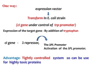 One way:
expression vector
Transform In E. coli strain
(cI gene under control of trp promoter)
Expression of the target gene - By addition of tryptophan
Advantage- Tightly controlled system so can be use
for highly toxic proteins
cI gene - λ repressor,
The λPL Promoter
Activation of the λPL promoter.
 