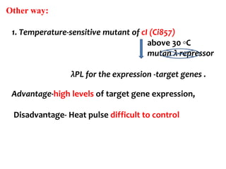 1. Temperature-sensitive mutant of cI (Ci857)
above 30 ◦C
mutan λ repressor
λPL for the expression -target genes .
Advantage-high levels of target gene expression,
Disadvantage- Heat pulse difficult to control
Other way:
 