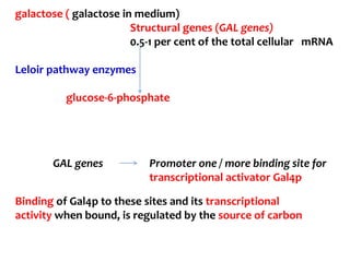 GAL genes Promoter one / more binding site for
transcriptional activator Gal4p
Binding of Gal4p to these sites and its transcriptional
activity when bound, is regulated by the source of carbon
galactose ( galactose in medium)
Structural genes (GAL genes)
0.5-1 per cent of the total cellular mRNA
Leloir pathway enzymes
glucose-6-phosphate
 