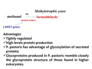 Methylotrophic yeast
methanol formaldehyde
O2
alcohol oxidase
(AOX1 gene)
Advantages-
Tightly regulated
High levels protein production
P. pastoris has advantage of glycosylation of secreted
proteins
Glycoproteins produced in P. pastoris resmble closely
the glycoprotein structure of those found in higher
eukaryotes.
 