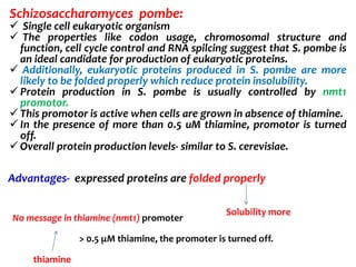 Schizosaccharomyces pombe:
 Single cell eukaryotic organism
 The properties like codon usage, chromosomal structure and
function, cell cycle control and RNA spilcing suggest that S. pombe is
an ideal candidate for production of eukaryotic proteins.
 Additionally, eukaryotic proteins produced in S. pombe are more
likely to be folded properly which reduce protein insolubility.
 Protein production in S. pombe is usually controlled by nmt1
promotor.
 This promotor is active when cells are grown in absence of thiamine.
 In the presence of more than 0.5 uM thiamine, promotor is turned
off.
 Overall protein production levels- similar to S. cerevisiae.
Advantages- expressed proteins are folded properly
Solubility more
No message in thiamine (nmt1) promoter
thiamine
> 0.5 μM thiamine, the promoter is turned off.
 
