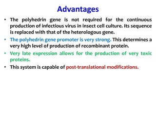 Advantages
• The polyhedrin gene is not required for the continuous
production of infectious virus in insect cell culture. Its sequence
is replaced with that of the heterologous gene.
• The polyhedrin gene promoter is very strong. This determines a
very high level of production of recombinant protein.
• Very late expression allows for the production of very toxic
proteins.
• This system is capable of post-translational modifications.
 