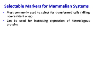 Selectable Markers for Mammalian Systems
• Most commonly used to select for transformed cells (killing
non-resistant ones)
• Can be used for increasing expression of heterologous
proteins
 