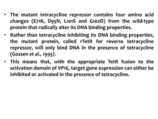 • The mutant tetracycline repressor contains four amino acid
changes (E71K, D95N, L101S and G102D) from the wild-type
protein that radically alter its DNA binding properties.
• Rather than tetracycline inhibiting its DNA binding properties,
the mutant protein, called rTetR for reverse tetracycline
repressor, will only bind DNA in the presence of tetracycline
(Gossen et al., 1995).
• This means that, with the appropriate TetR fusion to the
activation domain of VP16, target gene expression can either be
inhibited or activated in the presence of tetracycline.
 