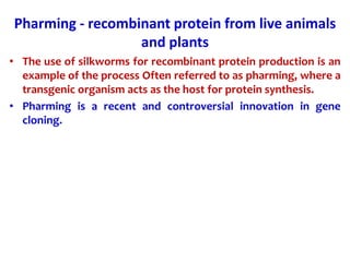 Pharming - recombinant protein from live animals
and plants
• The use of silkworms for recombinant protein production is an
example of the process Often referred to as pharming, where a
transgenic organism acts as the host for protein synthesis.
• Pharming is a recent and controversial innovation in gene
cloning.
 