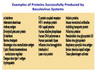 Examples of Proteins Successfully Produced by
Baculovirus Systems
 