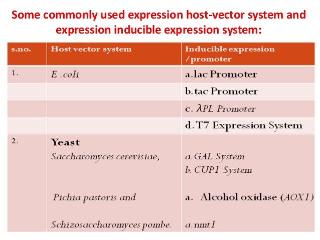 Expression vectors