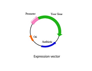 Expression Vector Parts expression vectors.pdf