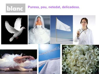 blanc Puresa, pau, netedat, delicadesa. 