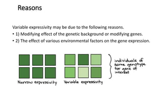 Expressivity | PPTX | Genetics | Science