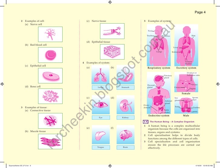 express notes science form 1 science form