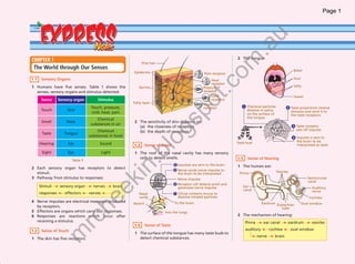 Page 1




                           PREsSS
                       E X p r e�����




                                                                                                                                                                u
                                                                                                                                                      .a
                                                                                                                                              2 The tongue:
                CHAPTER 1




                                                                                                                                          om
                                                                                     Fine hair
                 The World through Our Senses                                                                                                                                          Bitter
                                                                               Epidermis                                     Pain receptor
               1.1     Sensory Organs                                                                                                                                                  Sour
                                                                                                                                 Heat




                                                                                                                              t.c
                                                                                                                                 receptor
                1 Humans have five senses. Table 1 shows the                      Dermis                                                                                               Salty
                                                                                                                            Pressure
                  senses, sensory organs and stimulus detected.                                                             receptor
                                                                                                                                 Cold                                                  Sweet
                       Sense      Sensory organ           Stimulus                                                               receptor




                                                                                                                 po
                                                                               Fatty layer
                                                                                                                            Touch
                                                       Touch, pressure,                                                                          1 Chemical particles              2 Taste projections receive
                                                                                                                            receptor
                      Touch              Skin                                                                                                         dissolve in saliva              stimulus and send it to
                                                       cold, heat, pain                                                                               on the surface of               the taste receptors
                                                                                                                                                      the tongue
                                                          Chemical




                                                                                                      gs
                       Smell             Nose                                  2 The sensitivity of skin depends on:
                                                       substances in air                                                                                                               3 Taste receptor
                                                                                 (a) the closeness of receptors
                                                          Chemical                                                                                                                       sets off impulse
                       Taste            Tongue                                   (b) the depth of receptors
                                                      substances in food                                                                                                               4 Impulse is sent to




                                                                                              lo
                                                                                                                                              Taste bud                                  the brain to be
                     Hearing              Ear               Sound              1.3       Sense of Smell                                                                                  interpreted as taste

                       Sight              Eye                  Light                 .b
                                                                               1 The roof of the nasal cavity has many sensory
                                                                                 cells to detect smells.                                      1.5     Sense of Hearing
                                            Table 1
                                                                                                          4 Impulses are sent to the brain    1 The human ear:
                                                                               in
                2 Each sensory organ has receptors to detect                                              3 Nerve sends nerve impulse to
                  stimuli.                                                                                                                     Pinna                       Ossicles
                                                                                                            the brain to be interpreted
                3 Pathway from stimulus to responses:                                                       Nerve impulse                                                                        Semicircular
                                                                   ek

                                                                                                                                                                                                 canal
                                                                                                          2 Receptor cell detects smell and
                     Stimuli          sensory organ     nerves         brain                                generates nerve impulse                 Ear                                            Auditory
                                                                                                                                                    canal                                          nerve
                     responses          effectors     nerves                      Nasal                   1 Cilium contains mucus to
                                                                                  cavity                    dissolve inhaled particles                                                            Cochlea
                                                      he



                4 Nerve impulses are electrical messages produced                                         To the brain                                          Eardrum Eustachian
                                                                               Nostril                                                                                                        Oval window
                  by receptors.                                                                                                                                            tube
                5 Effectors are organs which carry out responses.                                   Into the lungs
                6 Responses are reactions which occur after                                                                                   2 The mechanism of hearing:
                                                rc




                  receiving a stimulus.                                                                                                              Pinna       ear canal         eardrum         ossicles
                                                                               1.4       Sense of Taste
               1.2     Sense of Touch                                                                                                                auditory        cochlea          oval window
                                      m




                                                                               1 The surface of the tongue has many taste buds to
                                                                                 detect chemical substances.                                                 nerve         brain
                1 The skin has five receptors.




WB Science F2 (Exp Note) 1st.indd 1                                                                                                                                                                         4/2/2009 5:48:16 PM
 