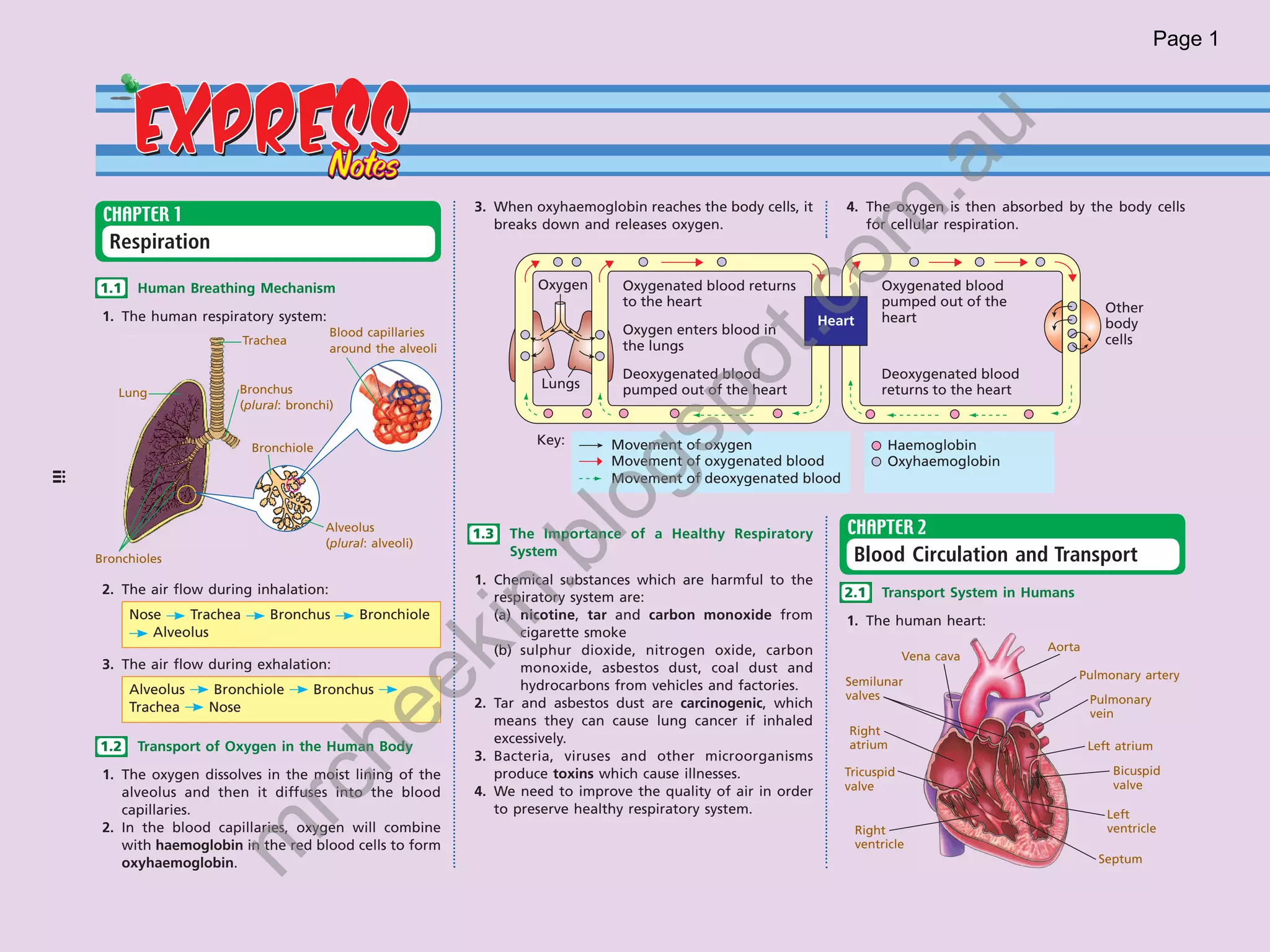 Express notes science form 3 | PDF