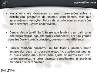 • Nesta obra ele descreveu as suas observações sobre a
distribuição geográfica de animais semelhantes, mas que
apresentavam variações físicas de acordo com as condições
dos diferentes lugares onde viviam.
• Dentre eles o tentilhão (pássaro que lembra o pardal), cujas
diferenças físicas nos diferentes continentes era tão grande
que fez Darwin crer, a princípio, que eram aves diferentes.
• Darwin também encontrou muitos fósseis, animais muito
antigos dos quais só sobraram restos incrustados nas pedras,
os quais soube mais tarde, com ajuda de outros cientistas,
serem preguiças e tatus gigantes semelhantes às espécies
menores que existem hoje.
 