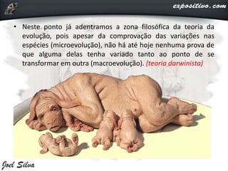 • Neste ponto já adentramos a zona filosófica da teoria da
evolução, pois apesar da comprovação das variações nas
espécies (microevolução), não há até hoje nenhuma prova de
que alguma delas tenha variado tanto ao ponto de se
transformar em outra (macroevolução). (teoria darwinista)
 