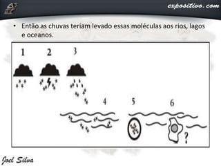 • Então as chuvas teriam levado essas moléculas aos rios, lagos
e oceanos.
 