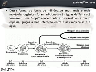 • Dessa forma, ao longo de milhões de anos, mais e mais
moléculas orgânicas foram adicionadas às águas da Terra até
formarem uma “sopa” concentrada e provavelmente muito
espessa, graças a boa interação entre essas moléculas e a
água.
 
