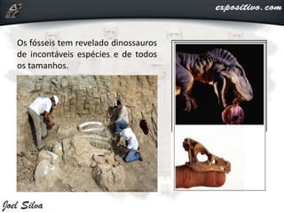 Os fósseis tem revelado dinossauros
de incontáveis espécies e de todos
os tamanhos.
 