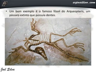 • Um bom exemplo é o famoso fóssil do Arqueopteris, um
pássaro extinto que possuía dentes.
 