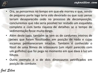 • Ora, se pensarmos no tempo em que ele morreu e que, sendo
de pequeno porte logo teria sido devorado ou que suas penas
teriam desaparecido cedo no processo de decomposição,
concluiremos que não seria possível ter restado um esqueleto
completo e com tanta riqueza de detalhes se o tempo de
sedimentação fosse muito longo.
• Além deste caso, também se tem os de cardumes inteiros de
peixes que foram fossilizados em posição de nado e cujas
escamas permaneceram intactas. Também é conhecido o
fóssil de uma fêmea de ictiossauro (um réptil parecido com
um golfinho) que foi pega no momento em que dava à luz um
filhote.
• Outro exemplo é o de dois dinossauros petrificados em
posição de combate.
 