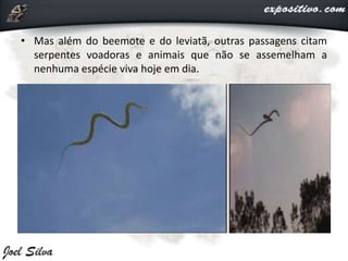 • Mas além do beemote e do leviatã, outras passagens citam
serpentes voadoras e animais que não se assemelham a
nenhuma espécie viva hoje em dia.
 