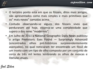• O terceiro ponto está em que os fósseis, ditos mais antigos,
são apresentados como mais simples e mais primitivos que
os” mais novos” camadas acima.
• Contudo observando-se alguns dos fósseis vivos que
perduraram até hoje, observa-se uma complexidade que
supera a dos seres “modernos”.
• Em Julho de 2011 a National Geographic Daily News publicou
o artigo Prehistoric Eyes Found — Surprisingly Advanced
(encontrados olhos pré-históricos surpreendentemente
avançados), no qual noticiaram ter encontrado um fóssil de
um inseto com um tipo de olho composto por um conjunto de
cerca de três mil lentes lembrando os olhos de moscas e
libélulas atuais.
 
