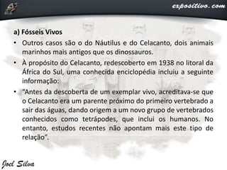a) Fósseis Vivos
• Outros casos são o do Náutilus e do Celacanto, dois animais
marinhos mais antigos que os dinossauros.
• À propósito do Celacanto, redescoberto em 1938 no litoral da
África do Sul, uma conhecida enciclopédia incluiu a seguinte
informação:
• “Antes da descoberta de um exemplar vivo, acreditava-se que
o Celacanto era um parente próximo do primeiro vertebrado a
sair das águas, dando origem a um novo grupo de vertebrados
conhecidos como tetrápodes, que inclui os humanos. No
entanto, estudos recentes não apontam mais este tipo de
relação”.
 
