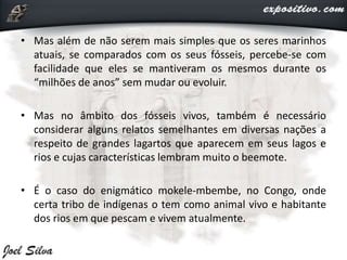 • Mas além de não serem mais simples que os seres marinhos
atuais, se comparados com os seus fósseis, percebe-se com
facilidade que eles se mantiveram os mesmos durante os
“milhões de anos” sem mudar ou evoluir.
• Mas no âmbito dos fósseis vivos, também é necessário
considerar alguns relatos semelhantes em diversas nações a
respeito de grandes lagartos que aparecem em seus lagos e
rios e cujas características lembram muito o beemote.
• É o caso do enigmático mokele-mbembe, no Congo, onde
certa tribo de indígenas o tem como animal vivo e habitante
dos rios em que pescam e vivem atualmente.
 