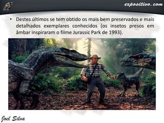• Destes últimos se tem obtido os mais bem preservados e mais
detalhados exemplares conhecidos (os insetos presos em
âmbar inspiraram o filme Jurassic Park de 1993).
 