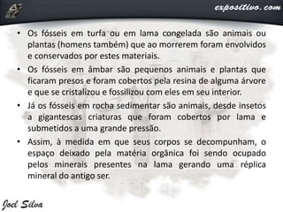 • Os fósseis em turfa ou em lama congelada são animais ou
plantas (homens também) que ao morrerem foram envolvidos
e conservados por estes materiais.
• Os fósseis em âmbar são pequenos animais e plantas que
ficaram presos e foram cobertos pela resina de alguma árvore
e que se cristalizou e fossilizou com eles em seu interior.
• Já os fósseis em rocha sedimentar são animais, desde insetos
a gigantescas criaturas que foram cobertos por lama e
submetidos a uma grande pressão.
• Assim, à medida em que seus corpos se decompunham, o
espaço deixado pela matéria orgânica foi sendo ocupado
pelos minerais presentes na lama gerando uma réplica
mineral do antigo ser.
 