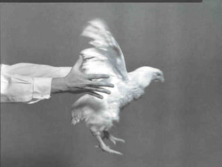 Expresiones Idiomáticas