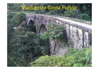 Viaduto da Grota Funda




                         46
 