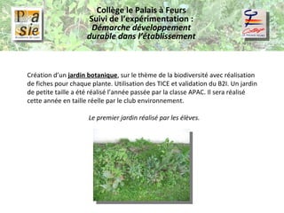 Collège le Palais à Feurs Suivi de l’expérimentation :  Démarche développement durable dans l’établissement Création d’un  jardin botanique , sur le thème de la biodiversité avec réalisation de fiches pour chaque plante. Utilisation des TICE et validation du B2I. Un jardin de petite taille a été réalisé l’année passée par la classe APAC. Il sera réalisé cette année en taille réelle par le club environnement. Le premier jardin réalisé par les élèves. 