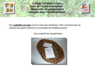 Collège le Palais à Feurs Suivi de l’expérimentation :  Démarche développement durable dans l’établissement Des  corbeilles en osier  sont en cours de réalisation. Elles serviront pour la collecte du papier (Concerne l’ensemble de l’établissement) Une corbeille de récupération. 