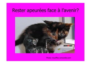 Rester apeurées face à l’avenir?




                Photo: mouffles.romandie.com
 