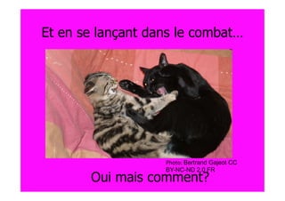 Et en se lançant dans le combat…




                   Photo: Bertrand Gajeot CC
                   BY-NC-ND 2.0 FR
       Oui mais comment?
 