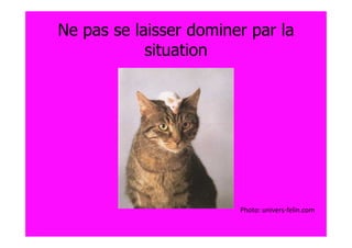Ne pas se laisser dominer par la
            situation




                        Photo: univers-felin.com
 