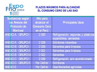 PLAZOS MÁXIMOS PARA ALCANZAR
 EL CONSUMO CERO DE LAS SAO
 