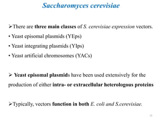 There are three main classes of S. cerevisiae expression vectors.
• Yeast episomal plasmids (YEps)
• Yeast integrating plasmids (YIps)
• Yeast artificial chromosomes (YACs)
 Yeast episomal plasmids have been used extensively for the
production of either intra- or extracellular heterologous proteins
Typically, vectors function in both E. coli and S.cerevisiae.
Saccharomyces cerevisiae
12
 
