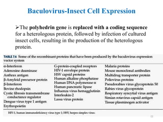 The polyhedrin gene is replaced with a coding sequence
for a heterologous protein, followed by infection of cultured
insect cells, resulting in the production of the heterologous
protein.
Baculovirus-Insect Cell Expression
22
 