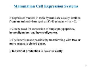 Expression vectors in these systems are usually derived
from an animal virus such as SV40 (simian virus 40).
Can be used for expression of single polypeptides,
homooligomers, and heterooligomers.
The latter is made possible by transforming with two or
more separate cloned genes.
Industrial production is however costly.
Mammalian Cell Expression Systems
27
 