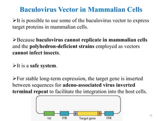 Baculovirus Vector in Mammalian Cells
It is possible to use some of the baculovirus vector to express
target proteins in mammalian cells.
Because baculovirus cannot replicate in mammalian cells
and the polyhedron-deficient strains employed as vectors
cannot infect insects.
It is a safe system.
For stable long-term expression, the target gene is inserted
between sequences for adeno-associated virus inverted
terminal repeat to facilitate the integration into the host cells.
32
 