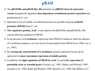 33
pBAD
 The pBAD/His and pBAD/Myc-His plasmids are pBR322-derived expression
vectors designed for regulated, dose-dependent recombinant protein expression and
purification in E. coli.
 Optimum levels of soluble, recombinant protein are possible using the araBAD
promoter (PBAD) from E. coli.
 The regulatory protein, AraC, is provided on the pBAD/His and pBAD/Myc-His
vectors allowing regulation of PBAD.
 In the presence of L-arabinose, expression from PBAD is turned on while the absence
of L-arabinose produces very low levels of transcription from PBAD (Lee, 1980; Lee et
al., 1987).
 By varying the concentration of L-arabinose, protein expression levels can be
optimized to ensure maximum expression of soluble protein.
 In addition, the tight regulation of PBAD by AraC is useful for expression of
potentially toxic or essential genes (Carson et al., 1991; Dalbey and Wickner, 1985;
Guzman et al., 1992; Kuhn and Wickner, 1985; Russell et al., 1989; San Millan et al.,
 