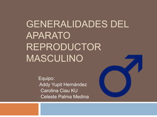 Generalidades del aparato reproductor masculino Equipo:  ,[object Object]