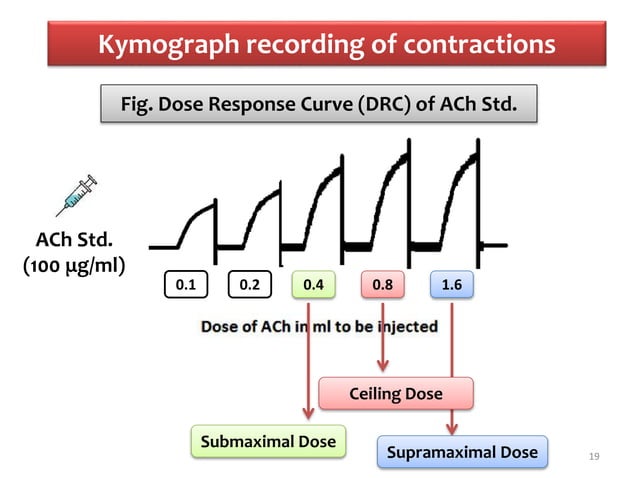 Expt. 4 DRC of acetylcholine using frog rectus abdominis muscle | PPTX