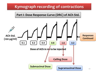 Kymograph recording of contractions
13
ACh Std.
(100 μg/ml)
0.1 0.2 0.4 0.8 1.6
Submaximal Dose
Ceiling Dose
Supramaximal Dose
Part I- Dose Response Curve (DRC) of ACh Std.
Responses
Continued
3.2
 