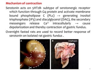 6
Mechanism of contraction
Serotonin acts on 5HT2B- subtype of serotonergic receptor
which function through Gq protein and activate membrane
bound phospholipase C (PLc) → generating inositol
trisphosphate (IP3) and diacylglycerol (DAG), the secondary
messengers release Ca2+ intracellularly → cause
depolarization and thereby contraction of gastric fundus.
Overnight fasted rats are used to record better response of
serotonin on isolated rat gastric fundus .
 