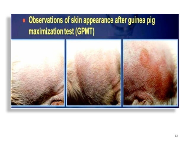 Expt 10 Determination Of Acute Skin Irritation Corrosion Of A Test Substance PPT