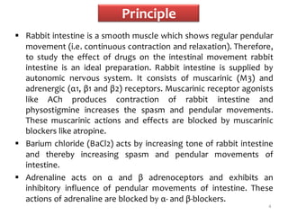 Expt. 10 effect of spasmogens and spasmolytics using rabbit jejunum | PDF